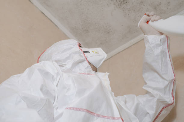 Best Mold Cleaning Services  in Alton, TX