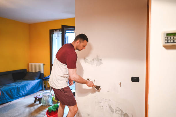 Best Certified Mold Removal  in Alton, TX