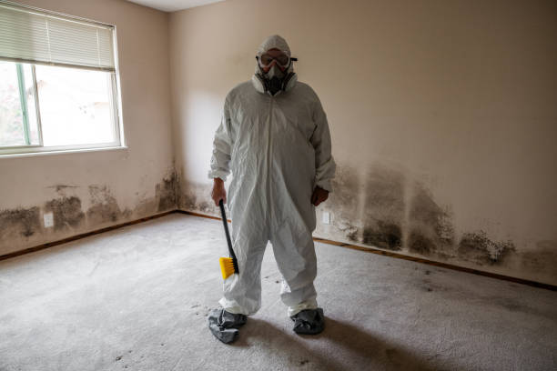 Professional Mold Removal in Alton, TX